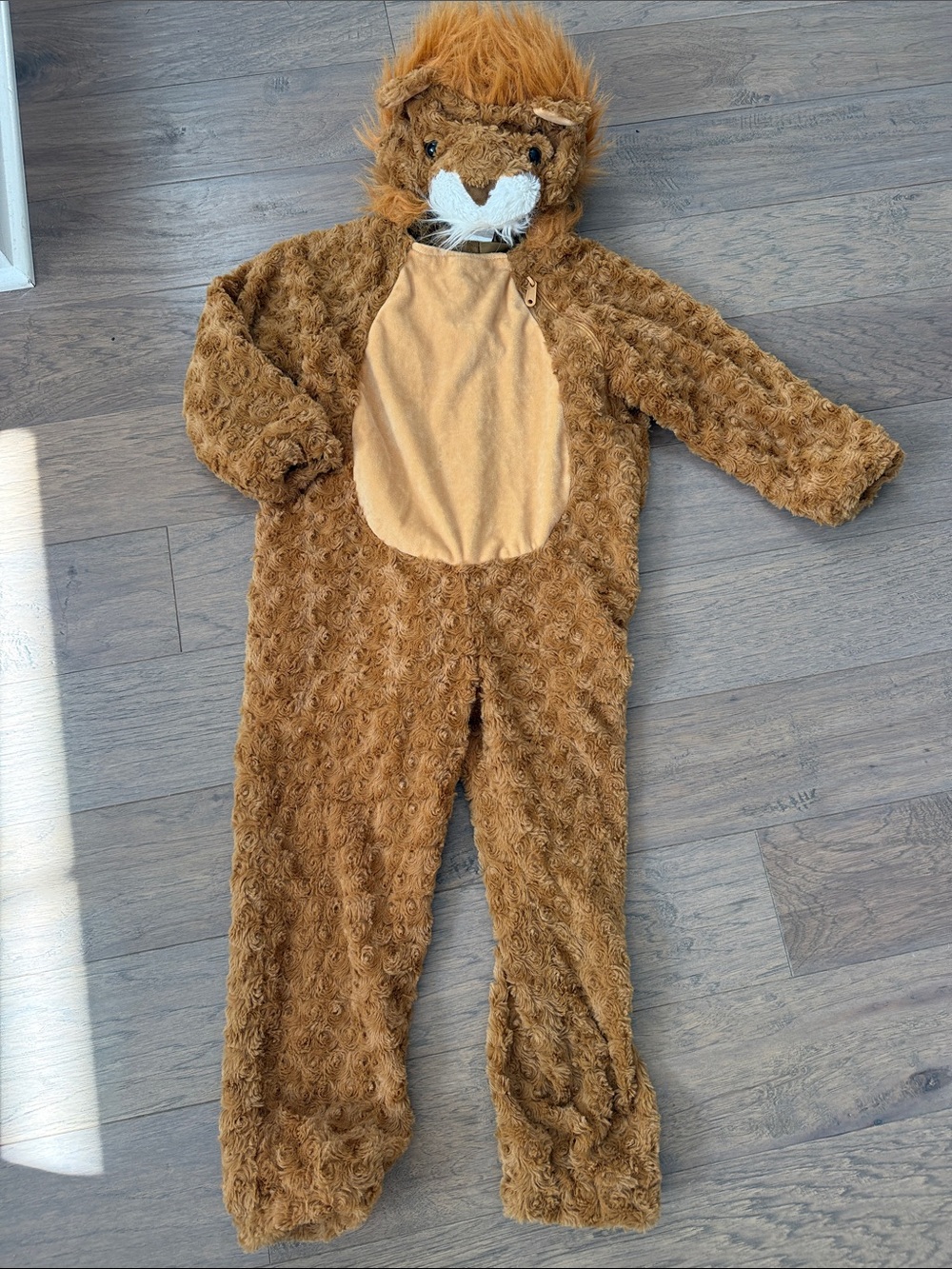 Kids Brown Lion Costume Plush One-Piece with Hood 4/5